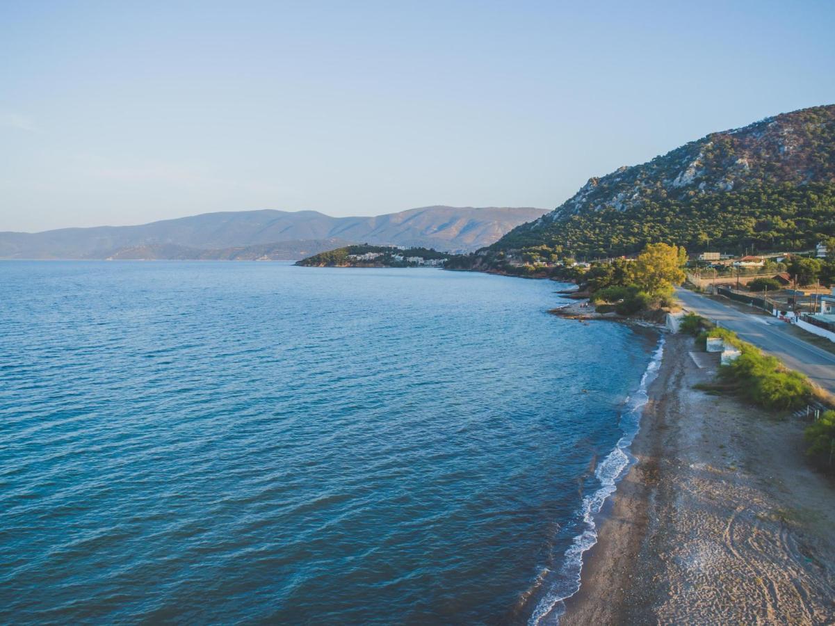 Lemoni Luxury Residence In Front Of The Sea Kechries Bagian luar foto